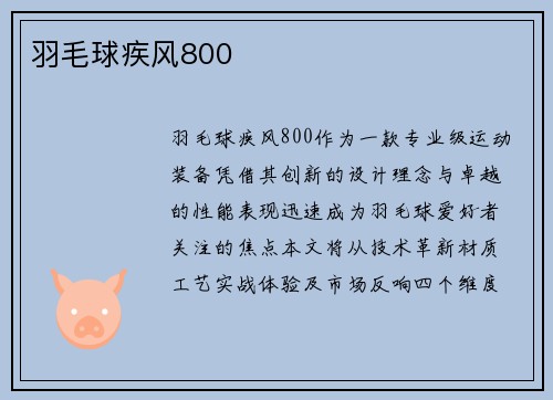 羽毛球疾风800