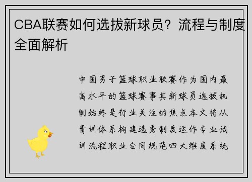 CBA联赛如何选拔新球员？流程与制度全面解析